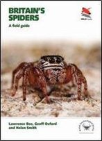 Britain's Spiders: A Field Guide