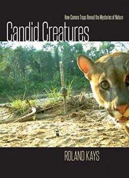 Candid Creatures: How Camera Traps Reveal The Mysteries Of Nature