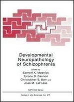 Developmental Neuropathology Of Schizophrenia (Nato Science Series A:)