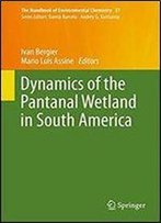 Dynamics Of The Pantanal Wetland In South America (The Handbook Of Environmental Chemistry)