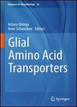 Glial Amino Acid Transporters (advances In Neurobiology)