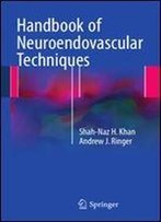 Handbook Of Neuroendovascular Techniques