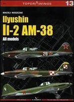 Iiyushin Ii-2 Am-8 (Topdrawings)