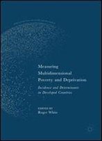 Measuring Multidimensional Poverty And Deprivation: Incidence And Determinants In Developed Countries (Global Perspectives On Wealth And Distribution)