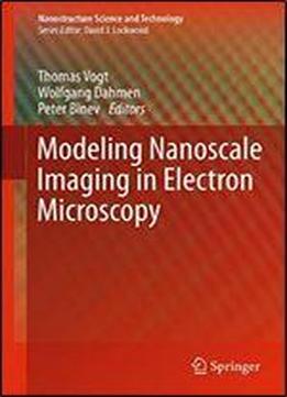 Modeling Nanoscale Imaging In Electron Microscopy (nanostructure Science And Technology)