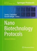 Nanobiotechnology Protocols (Methods In Molecular Biology)
