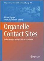 Organelle Contact Sites: From Molecular Mechanism To Disease (Advances In Experimental Medicine And Biology)