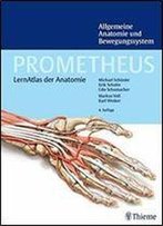 Prometheus Allgemeine Anatomie Und Bewegungssystem