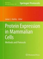Protein Expression In Mammalian Cells: Methods And Protocols (Methods In Molecular Biology)
