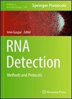 Rna Detection: Methods And Protocols (Methods In Molecular Biology)
