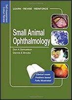 Small Animal Ophthalmology: Self-Assessment Color Review (Veterinary Self-Assessment Color Review Series)