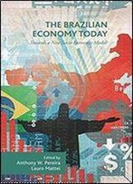 The Brazilian Economy Today: Towards A New Socio-Economic Model?