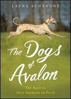 The Dogs Of Avalon: The Race To Save Animals In Peril