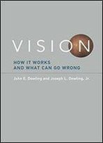 Vision: How It Works And What Can Go Wrong (Mit Press)