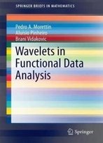 Wavelets In Functional Data Analysis (Springerbriefs In Mathematics)