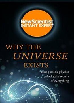 Why The Universe Exists: How Particle Physics Unlocks The Secrets Of Everything (instant Expert)