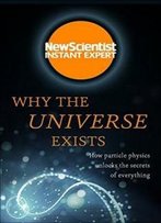 Why The Universe Exists: How Particle Physics Unlocks The Secrets Of Everything (Instant Expert)