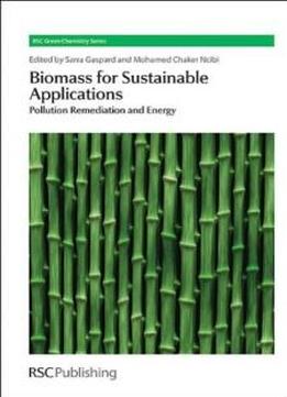 Biomass For Sustainable Applications: Pollution Remediation And Energy (rsc Green Chemistry)