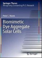Biomimetic Dye Aggregate Solar Cells (Springer Theses)