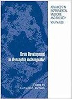 Brain Development In Drosophila Melanogaster (Advances In Experimental Medicine And Biology)