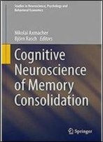 Cognitive Neuroscience Of Memory Consolidation (Studies In Neuroscience, Psychology And Behavioral Economics)