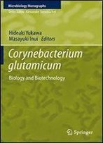 Corynebacterium Glutamicum: Biology And Biotechnology (Microbiology Monographs)