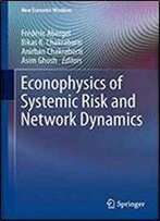 Econophysics Of Systemic Risk And Network Dynamics (New Economic Windows)