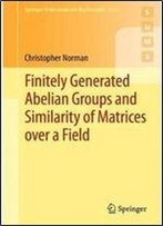 Finitely Generated Abelian Groups And Similarity Of Matrices Over A Field (Springer Undergraduate Mathematics Series)