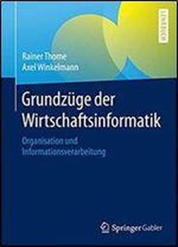 Grundzuge Der Wirtschaftsinformatik: Organisation Und Informationsverarbeitung