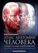 Illustrated Atlas Of Human Anatomy / Illyustrirovannyy Atlas Anatomii Cheloveka