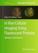 In Vivo Cellular Imaging Using Fluorescent Proteins: Methods And Protocols (Methods In Molecular Biology)