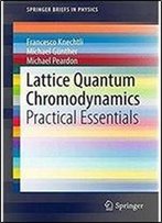 Lattice Quantum Chromodynamics: Practical Essentials (Springerbriefs In Physics)