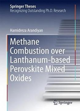 Methane Combustion Over Lanthanum-based Perovskite Mixed Oxides (springer Theses)