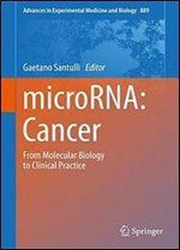 Microrna: Cancer: From Molecular Biology To Clinical Practice (advances In Experimental Medicine And Biology)