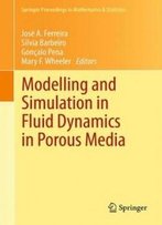 Modelling And Simulation In Fluid Dynamics In Porous Media (Springer Proceedings In Mathematics & Statistics)
