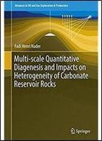 Multi-Scale Quantitative Diagenesis And Impacts On Heterogeneity Of Carbonate Reservoir Rocks (Advances In Oil And Gas Exploration & Production)