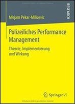 Polizeiliches Performance Management: Theorie, Implementierung Und Wirkung