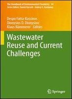 Wastewater Reuse And Current Challenges (The Handbook Of Environmental Chemistry)
