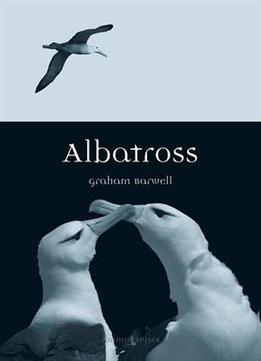 Albatross (animal)