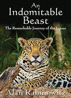 An Indomitable Beast: The Remarkable Journey Of The Jaguar
