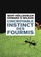 B. Hölldobler, E.O. Wilson, L'Incroyable Instinct Des Fourmis