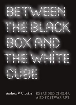 Between The Black Box And The White Cube: Expanded Cinema And Postwar Art
