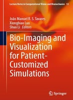Bio-Imaging And Visualization For Patient-Customized Simulations