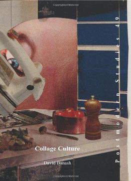 Collage Culture: Readymades, Meaning, And The Age Of Consumption (postmodern Studies)