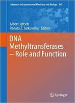 Dna Methyltransferases - Role And Function