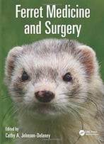 Ferret Medicine And Surgery
