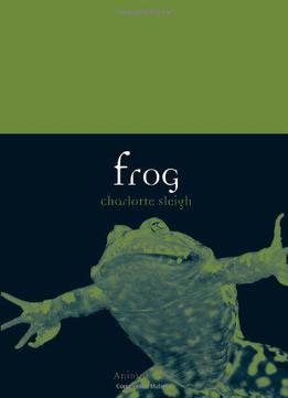 Frog (animal)