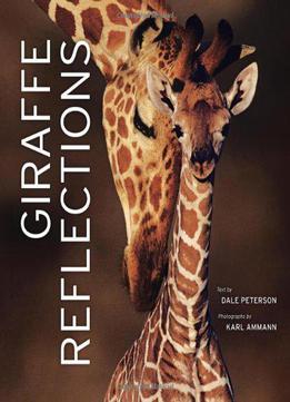 Giraffe Reflections Download
