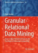 Granular-Relational Data Mining: How To Mine Relational Data In The Paradigm Of Granular Computing?