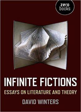 Infinite Fictions: Essays On Literature And Theory